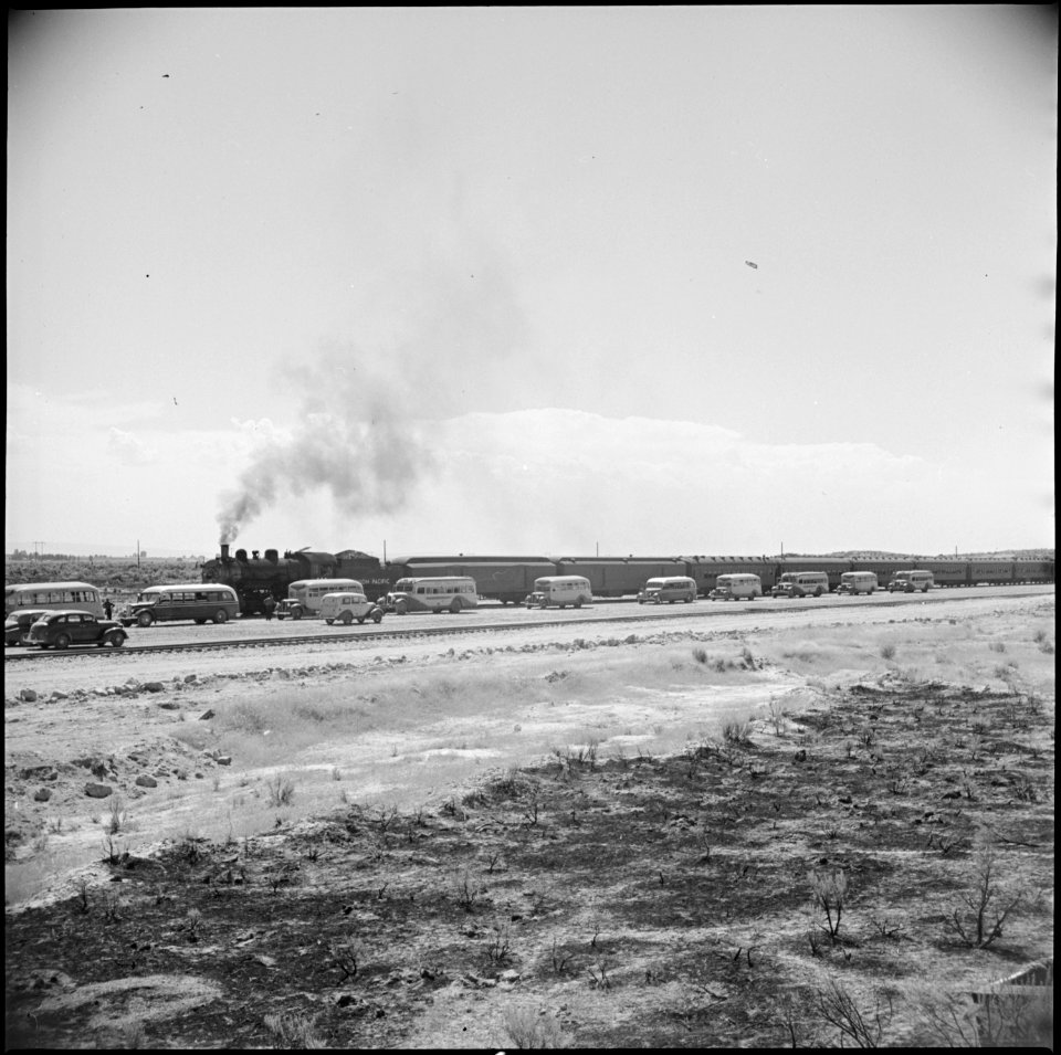 Eden, Idaho. A train bringing approximately six hundred evacuees from the assembly center at Puyall . . . - NARA - 538267