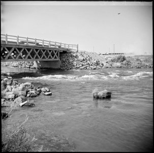 Eden, Idaho. A view of the Twin Falls North Side Canal which borders this War Relocation Authrority . . . - NARA - 538287