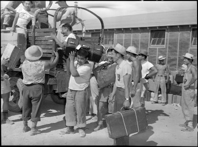 Eden, Idaho. Baggage, belonging to evacuees from the assembly center at Puyallup, Washington, is so . . . - NARA - 538279