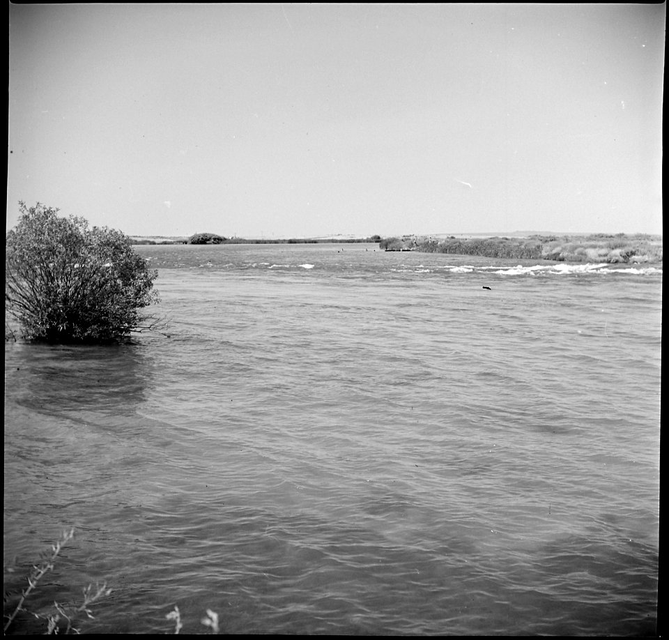 Eden, Idaho. A view of the Twin Falls North Side Canal which borders this War Relocation Authority . . . - NARA - 538288