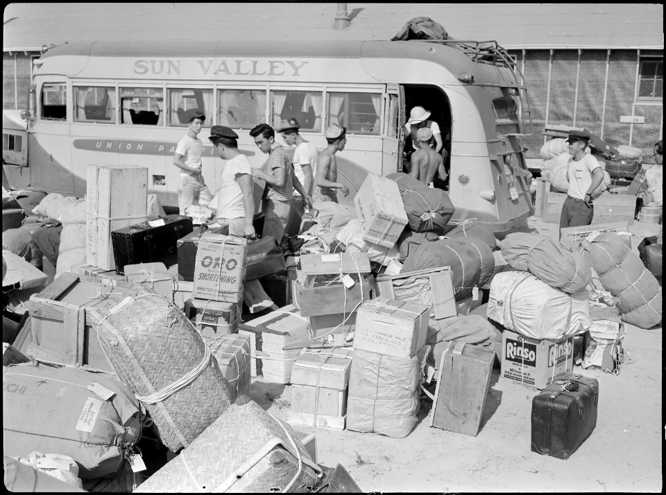 Eden, Idaho. Baggage, belonging to evacuees from the assembly center at Puyallup, Washington, is so . . . - NARA - 538278