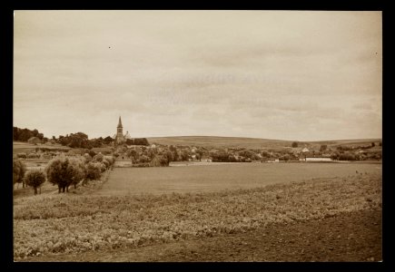 Dzialoszyce od poludnia ca 1936 (66229959)