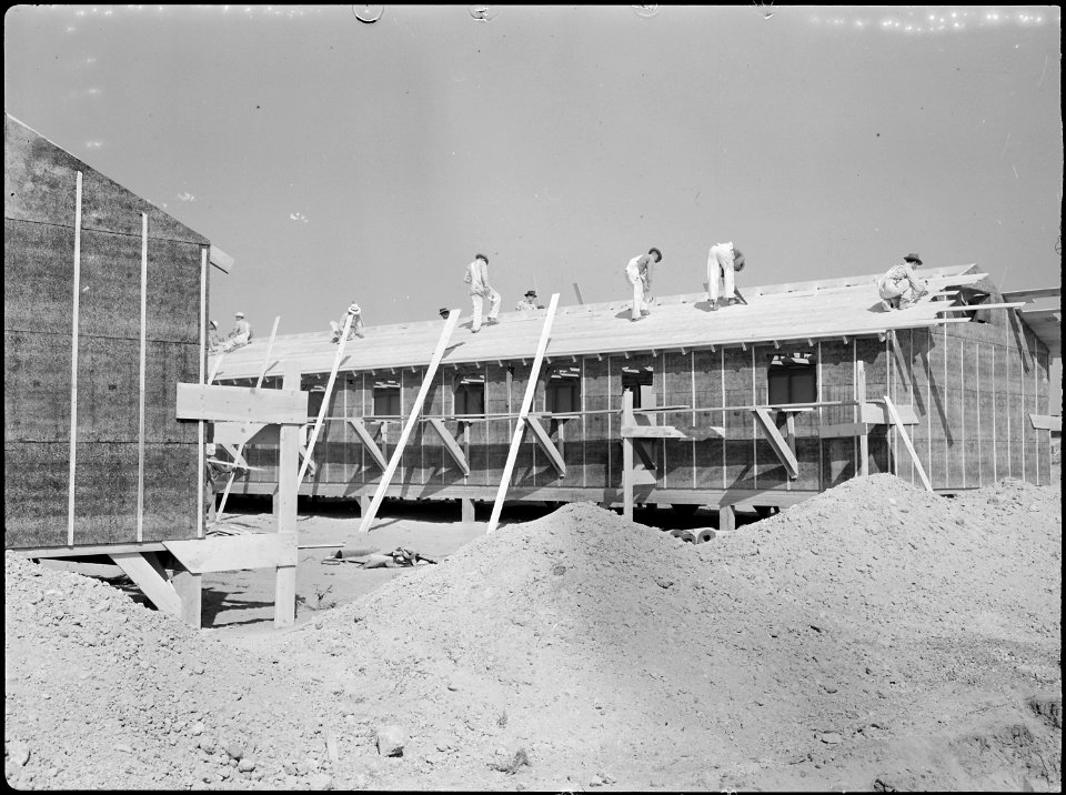 Eden, Idaho. Workers constructing the barracks for the evacuees at this War Relocation Authority center. - NARA - 538295