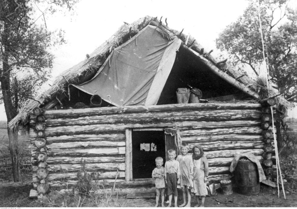 Dzieci przed zbitym z bali domem (2-1918)