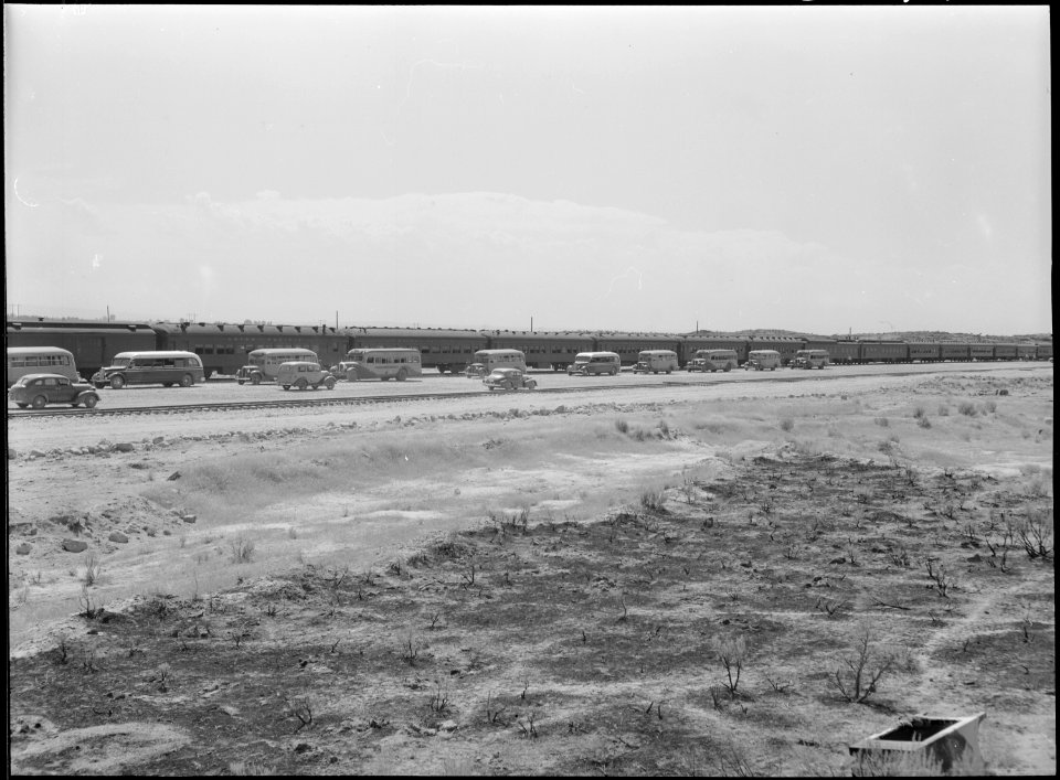 Eden, Idaho. A train bringing approximately six hundred evacuees from the assembly center at Puyall . . . - NARA - 538268