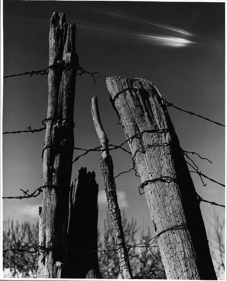 El Cerrito, San Miguel County, New Mexico. Details of walls and fences. - NARA - 521166