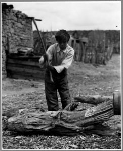 El Cerrito, San Miguel County, New Mexico. Firewood is used in considerable quantities all through . . . - NARA - 521191