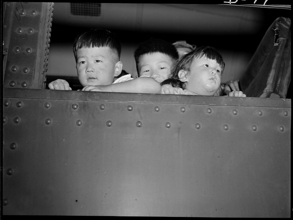 Eden, Idaho. Gerald, 5, David, 6 and Chester Sakura, Jr., 1-1-2 brothers. These little evacuees, a . . . - NARA - 538270