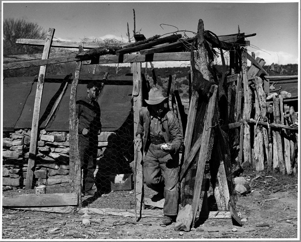 El Cerrito, San Miguel County, New Mexico. Most families have a few chickens to supply them with eg . . . - NARA - 521190