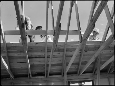 Eden, Idaho. Workers constructing the barracks for the evacuees at this War Relocation Authority center. - NARA - 538294