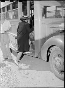 Eden, Idaho. This evacuee has just arrived by train with 600 others from the Puyallup assembly cent . . . - NARA - 538273