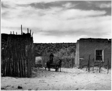 El Cerrito, San Miguel County, New Mexico. People try everything they can think of to make a little . . . - NARA - 521234