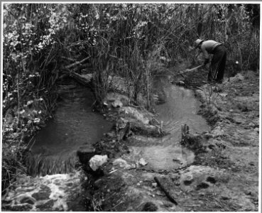 El Cerrito, San Miguel County, New Mexico. The staple crops in El Cerrito are corn, beans and alfal . . . - NARA - 521200