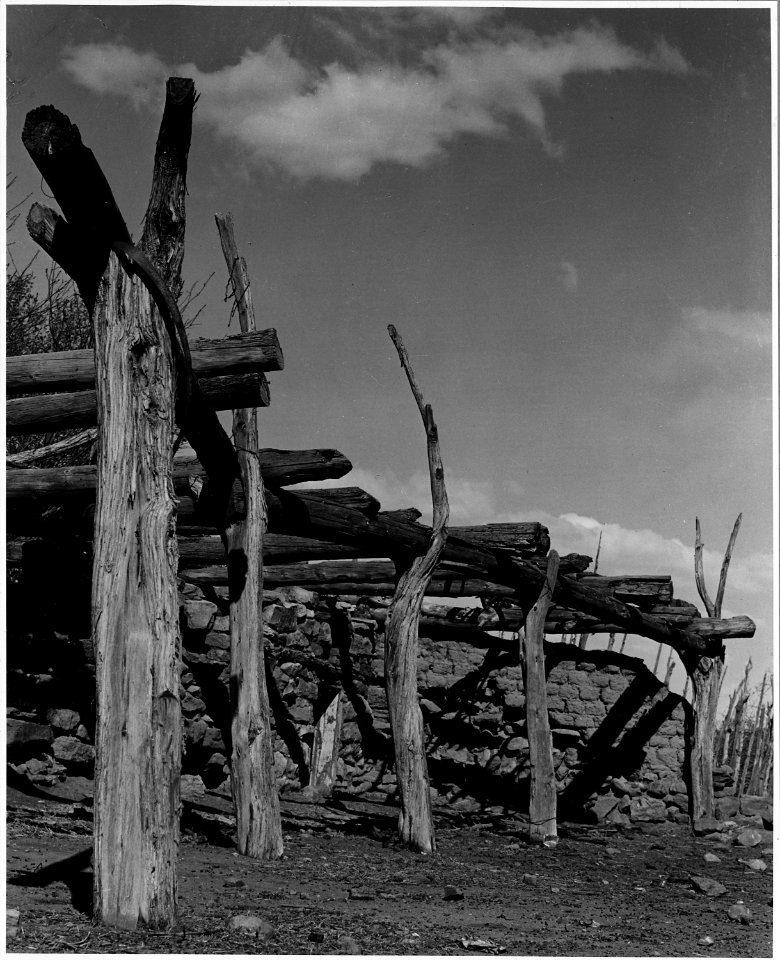 El Cerrito, San Miguel County, New Mexico. Details of walls and fences. - NARA - 521165