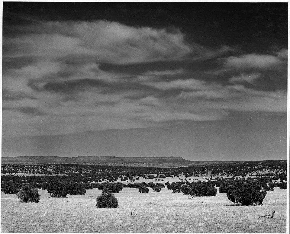 El Cerrito, San Miguel County, New Mexico. This is the mesa land that surrounds El Cerrito and that . . . - NARA - 521145