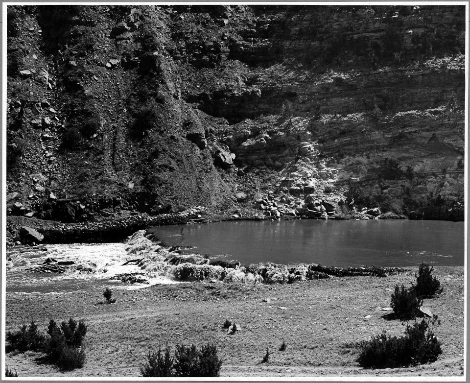 El Cerrito, San Miguel County, New Mexico. The staple crops in El Cerrito are corn, beans and alfal . . . - NARA - 521199