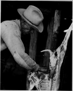 El Cerrito, San Miguel County, New Mexico. The staple crops in El Cerrito are corn, beans and alfal . . . - NARA - 521215