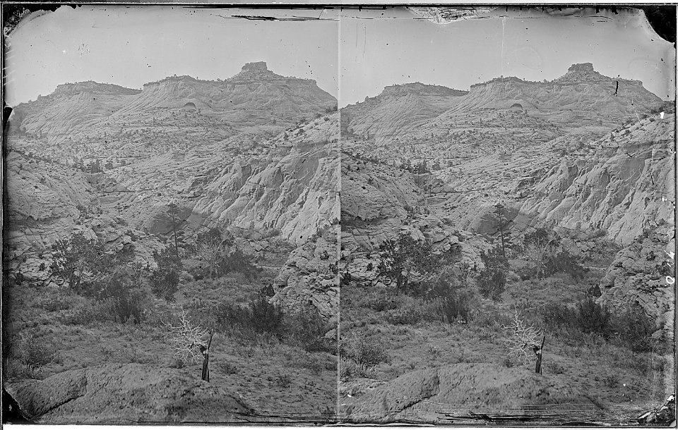 Escalante Creek. Waterpocket Canyon, similar to 583 but is better photo. Old nos. 335, 384, 710. - NARA - 517926