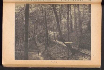 Elbing - illustrierter Fuhrer 1925 (93804047)