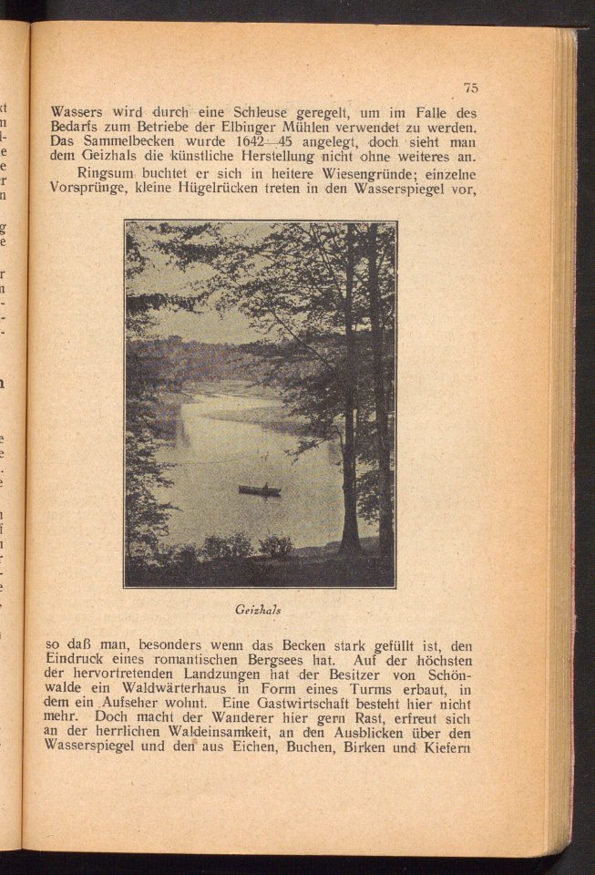 Elbing - illustrierter Fuhrer 1925 (93804098)