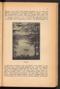 Elbing - illustrierter Fuhrer 1925 (93804098)