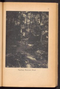 Elbing - illustrierter Fuhrer 1925 (93804085)