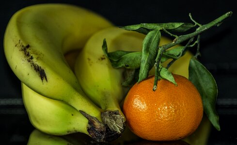 Fruit fruits benefit from