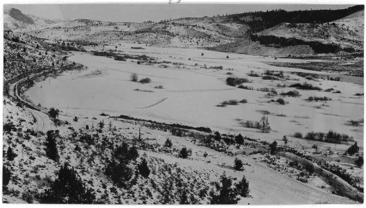 Farm Land on Ochoco Creek , Ochoco Forest, 1919 - NARA - 299177 photo