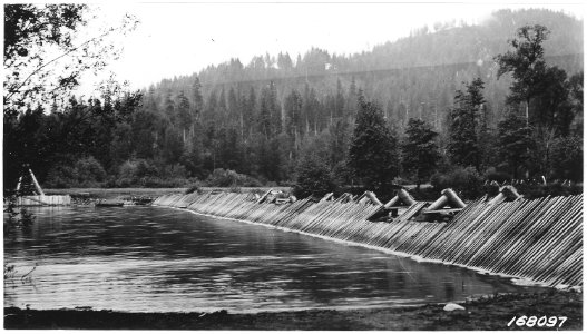 Fish Trap-Salmon, across South Willamette River near boundary, Cascade Forest, or, 1922. - NARA - 299202 photo