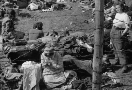 Female members of the Wehrmacht are among the inmates of the Third U.S. Army prisoner of war enclosure at Regansburg... - NARA - 531285 (cropped)