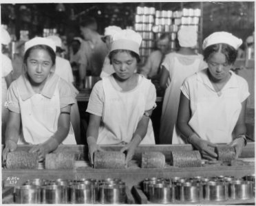 Food-Hawaii-Canning. Native girls packing pineapple into cans. - NARA - 522863 photo