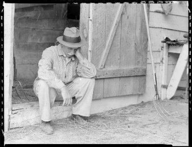 Farmer in despair over the depression in 1932. - NARA - 512819 photo