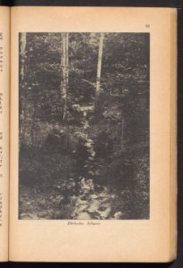 Elbing - illustrierter Fuhrer 1925 (93804177)