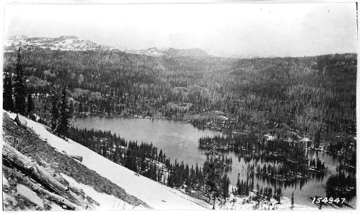 Fish Lake and Surrounding Region, Whitman Forest, 1915 - NARA - 299158