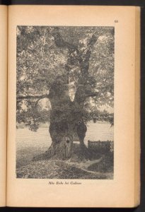 Elbing - illustrierter Fuhrer 1925 (93804147)