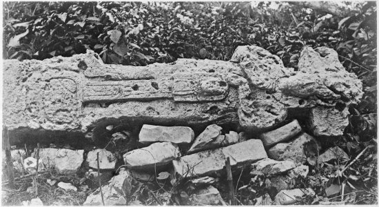 Fallen monolith on south slope of Temple of the Cross, Palenque, Mexico. - NARA - 523629