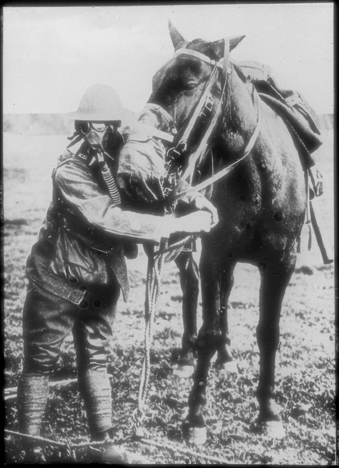 Gas masks for man and horse demonstrated by American soldier, circa 1917-18., 1918 - 1919 - NARA - 516483