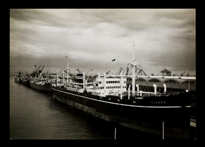 Gdynia, statki handlowe 1935 (67264202)