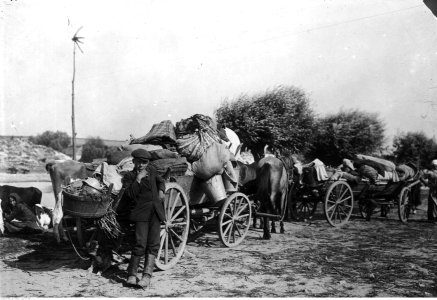 Furmanki konne (22-364-2)