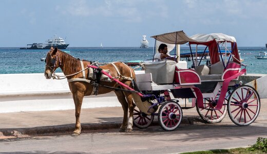 Caribbean cart transportation system photo