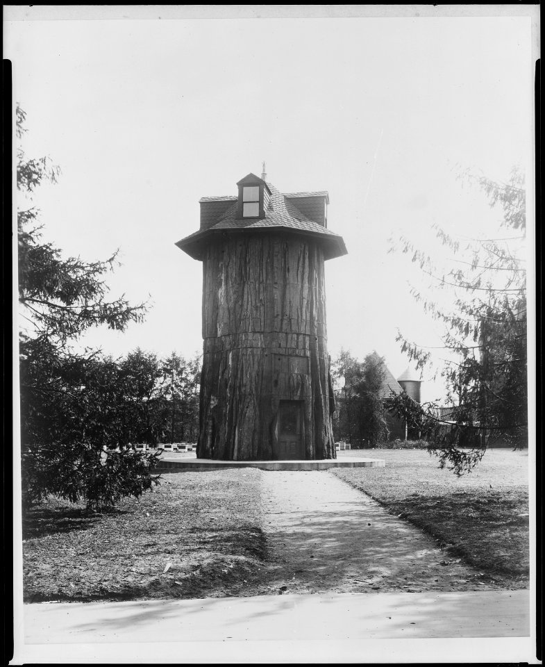 General Noble Redwood Tree House, on the grounds of the Main Building of the Department of Agriculture, Washington... - NARA - 512818