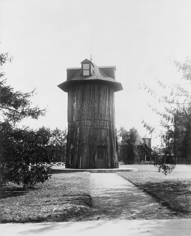 General Noble Redwood Tree House, on the grounds of the Main Building of the Department of Agriculture, Washington... - NARA - 512818 (cropped)