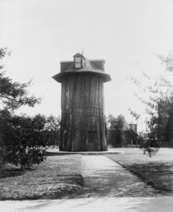 General Noble Redwood Tree House, on the grounds of the Main Building of the Department of Agriculture, Washington... - NARA - 512818 (cropped)