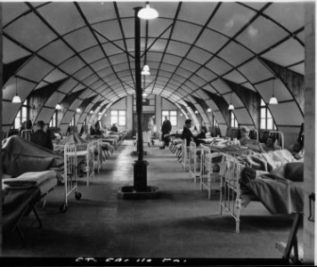 General view of a typical medical ward of the 2nd Evac. Hospital, Diddington, England. - NARA - 531496