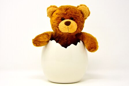 Teddy easter funny