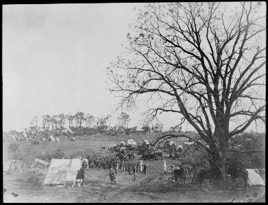 General Meade's headquarters. Culpeper, Virginia, 1863 - NARA - 518112