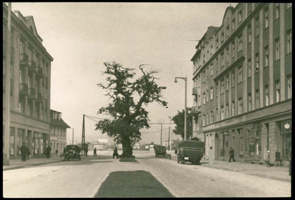 Gdynia - Dab Mestwina przy ul. Kaszubskiej 1932 (37046322)