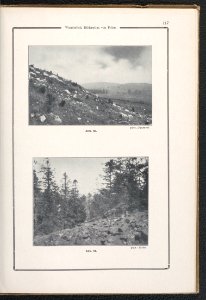Geographischer Bilderatlas von Polen 1917 (117593591)