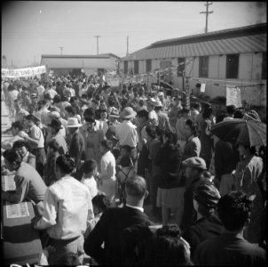 Gila River Relocation Center, Rivers Arizona. Part of the large crowd the witnessed the Harvest Fes . . . - NARA - 538662