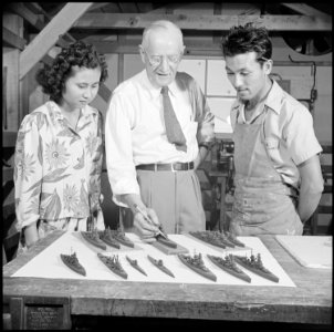 Gila River Relocation Center, Rivers, Arizona. A collection of ship models made for the Navy in the . . . - NARA - 537098